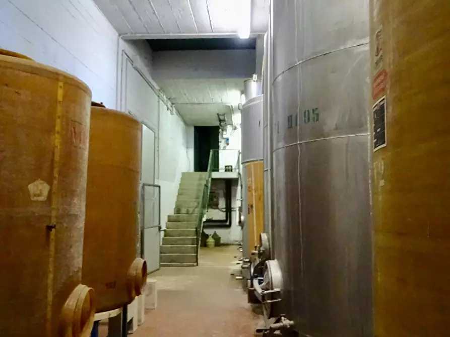 Immagine 88 di Azienda agricola in vendita  a San Miniato