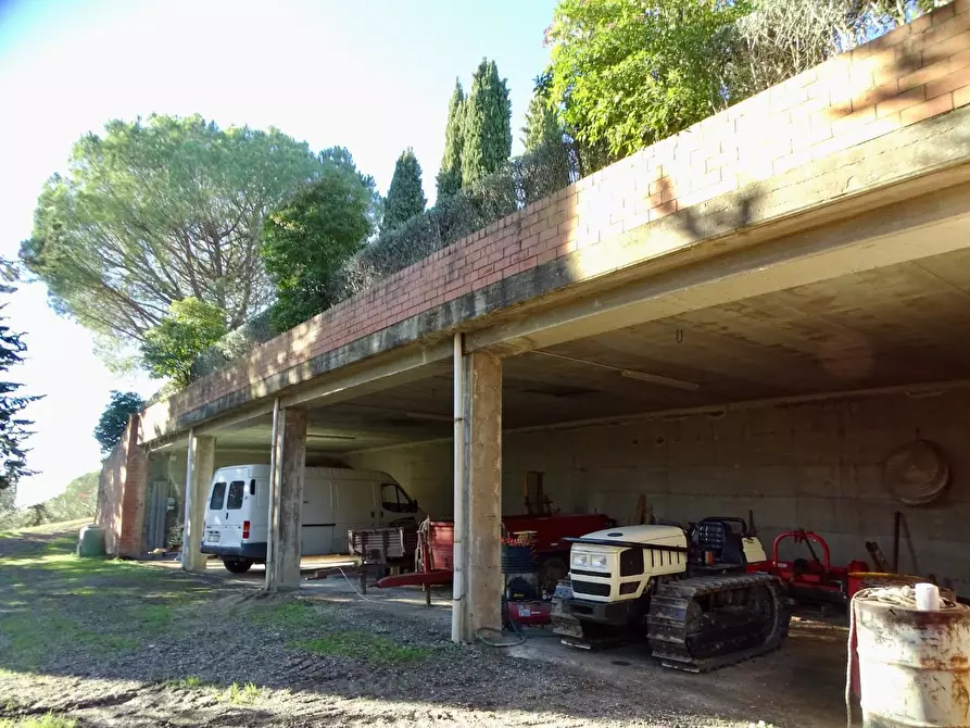 Immagine 91 di Azienda agricola in vendita  a San Miniato