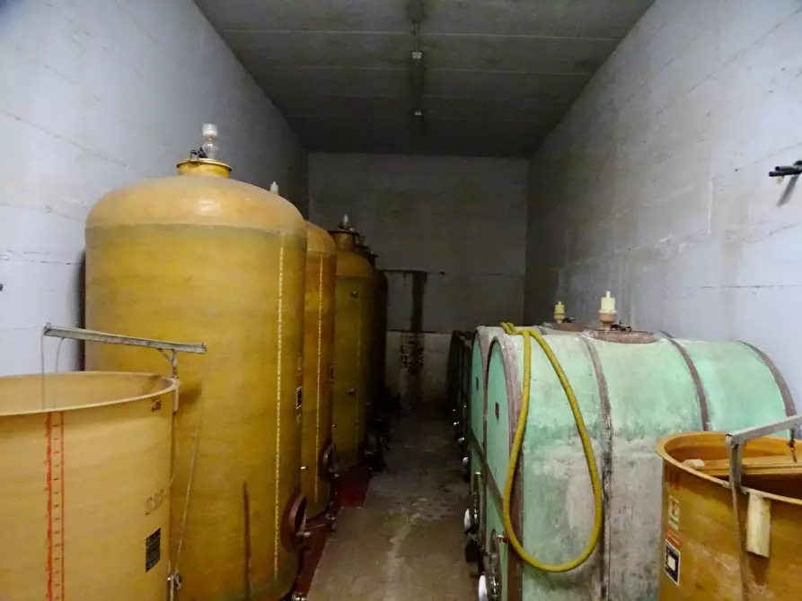 Immagine 85 di Azienda agricola in vendita  a San Miniato