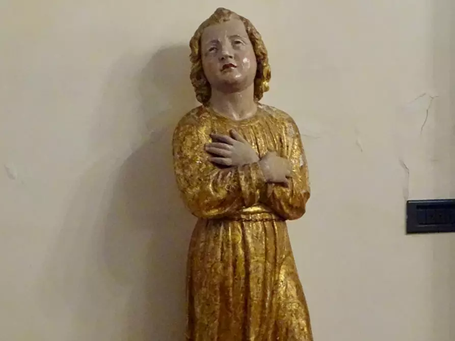 Immagine 27 di Azienda agricola in vendita  a San Miniato