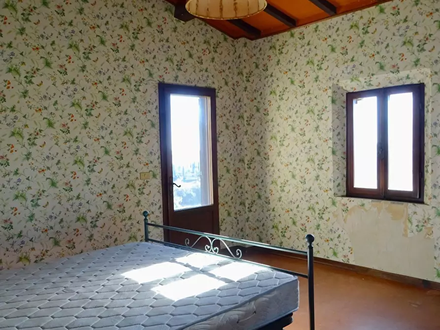 Immagine 74 di Azienda agricola in vendita  a San Miniato