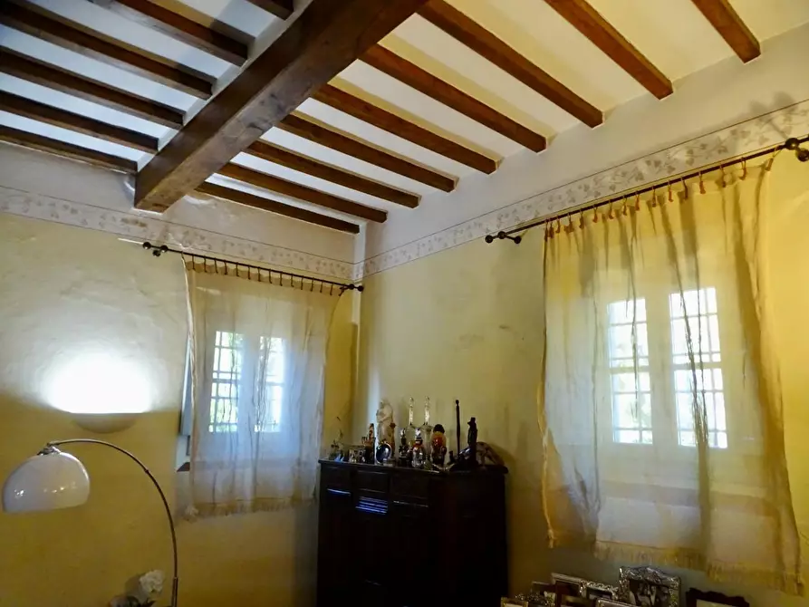 Immagine 19 di Azienda agricola in vendita  a San Miniato