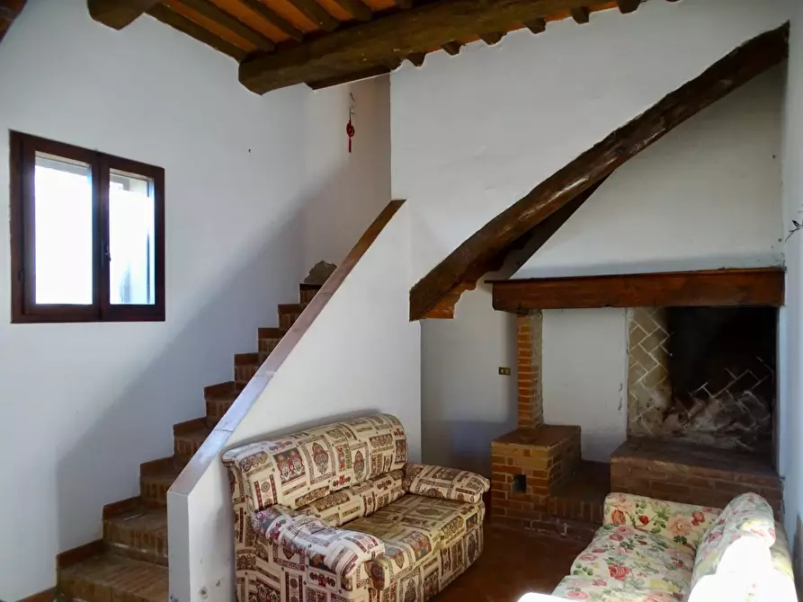 Immagine 73 di Azienda agricola in vendita  a San Miniato