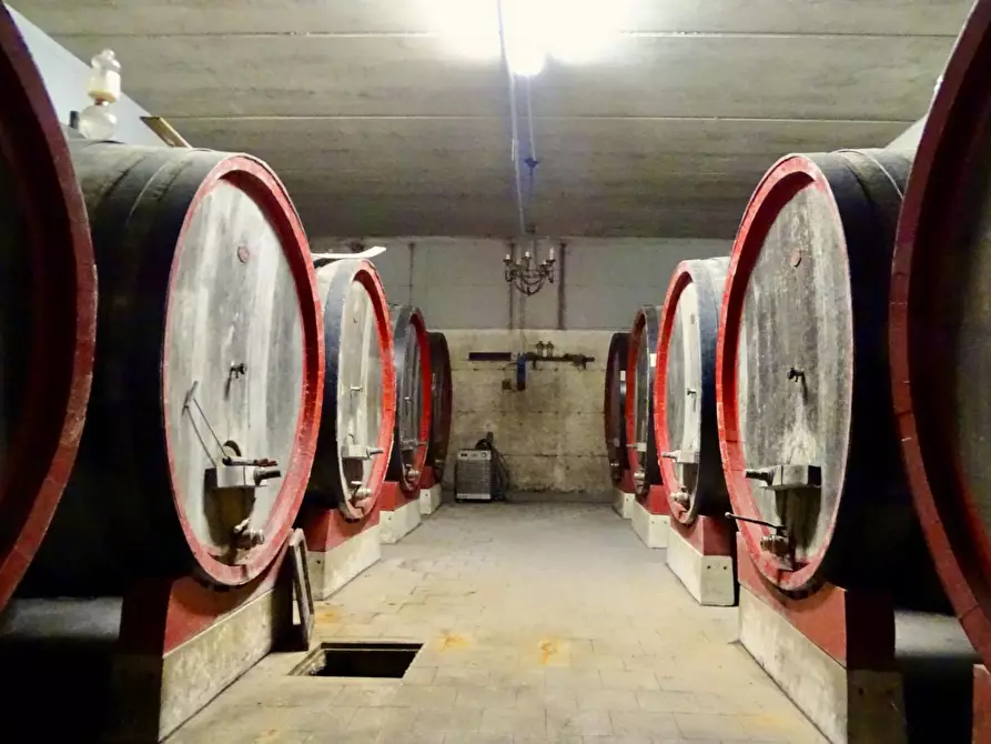 Immagine 86 di Azienda agricola in vendita  a San Miniato