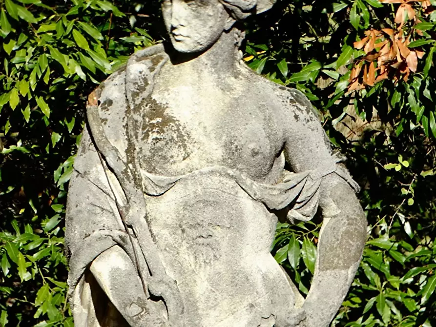 Immagine 31 di Azienda agricola in vendita  a San Miniato