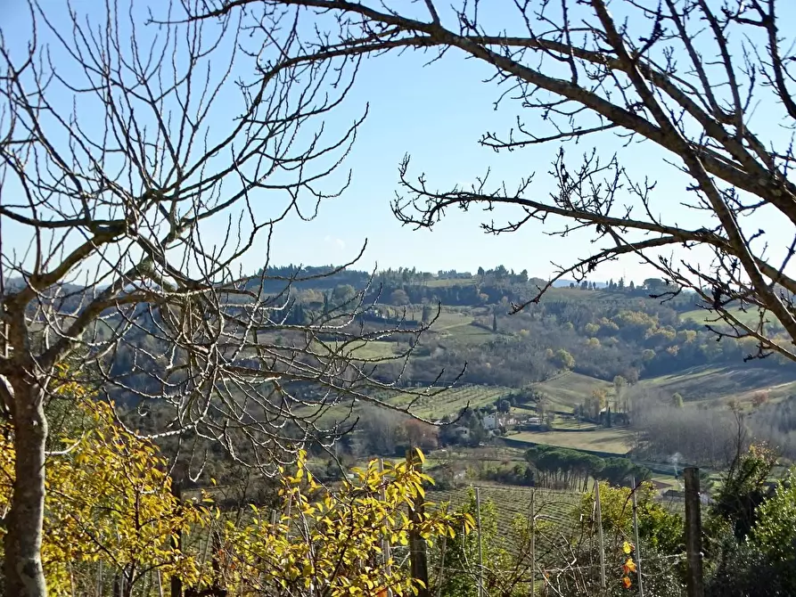 Immagine 93 di Azienda agricola in vendita  a San Miniato