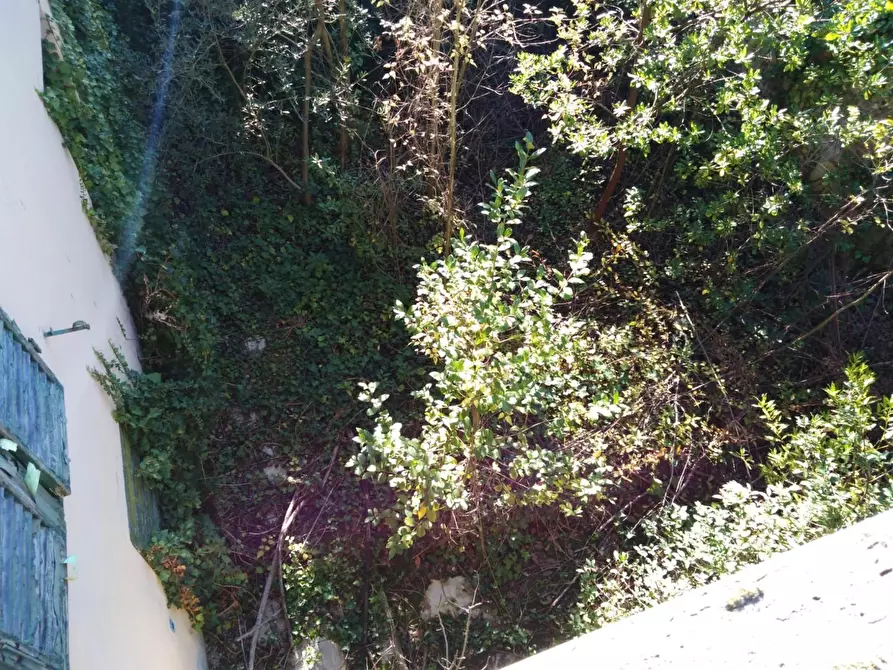 Immagine 3 di Terratetto in vendita  a Santa Croce Sull'arno