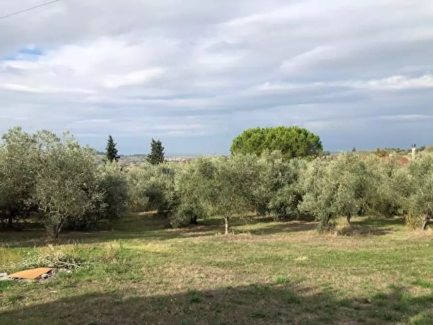 Immagine 1 di Casa colonica in vendita  a Empoli