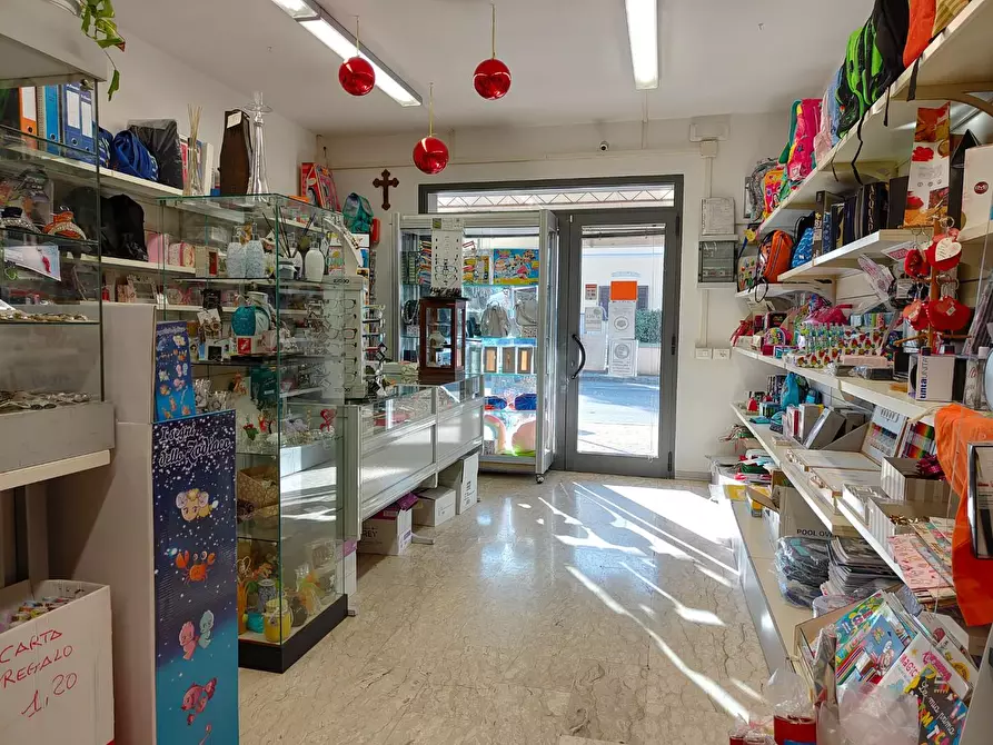 Immagine 7 di Attività commerciale in vendita  a Crespina Lorenzana