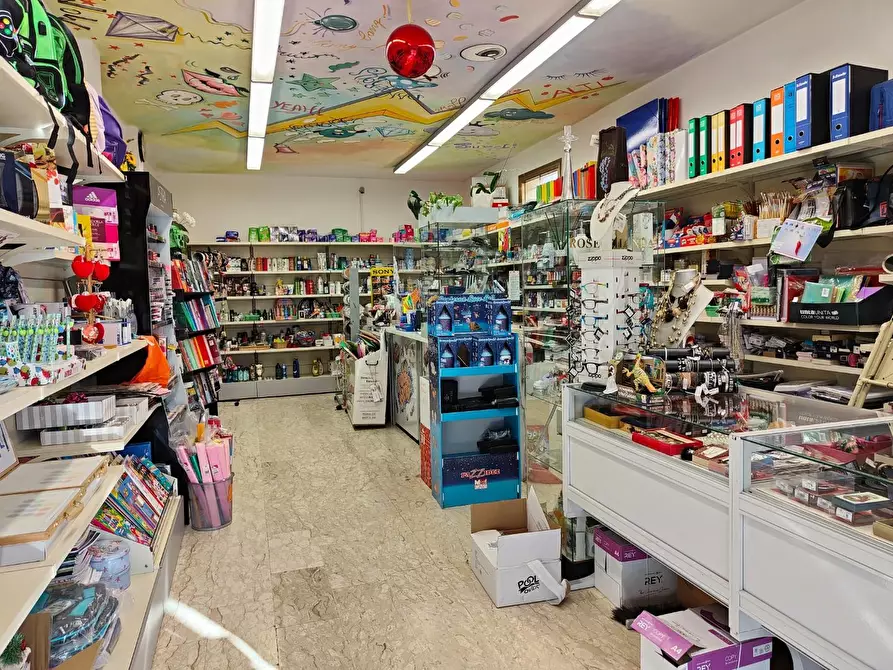 Immagine 16 di Attività commerciale in vendita  a Crespina Lorenzana