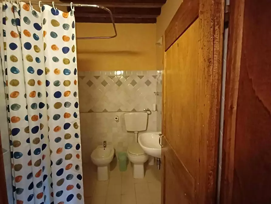 Immagine 40 di Casa colonica in vendita  a Vinci