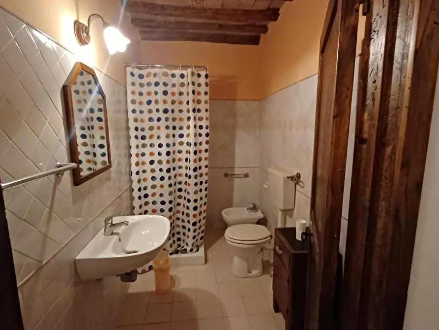 Immagine 30 di Casa colonica in vendita  a Vinci