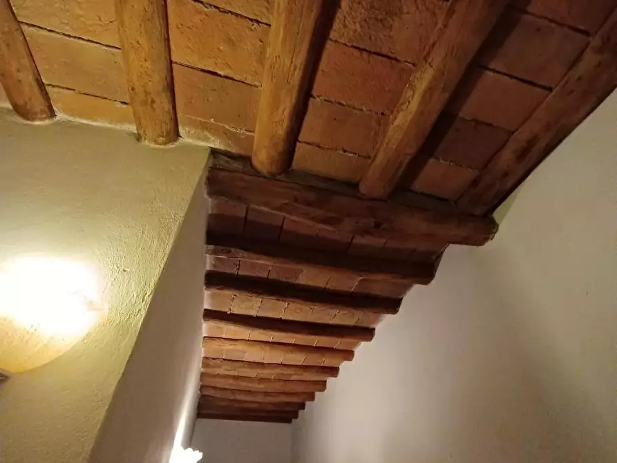 Immagine 45 di Casa colonica in vendita  a Vinci