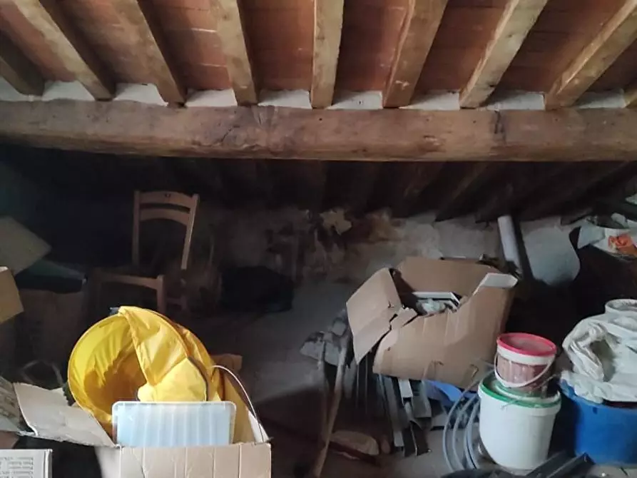 Immagine 6 di Appartamento in vendita  a Carrara