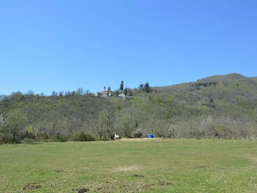 Immagine 1 di Rustico / casale in vendita  a Comano