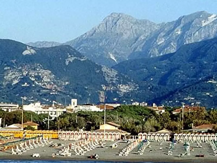 Immagine 6 di Locale commerciale in vendita  a Massa