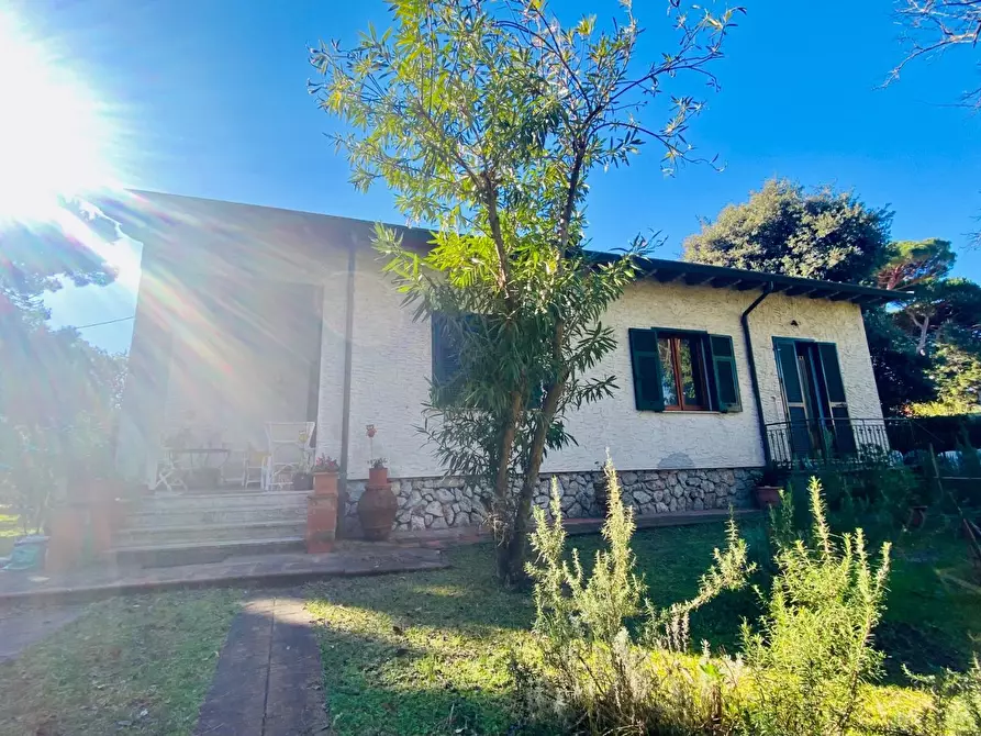 Immagine 5 di Casa indipendente in vendita  a Massa