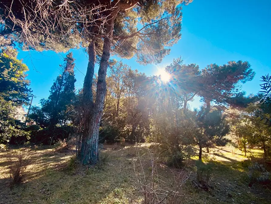 Immagine 4 di Casa indipendente in vendita  a Massa