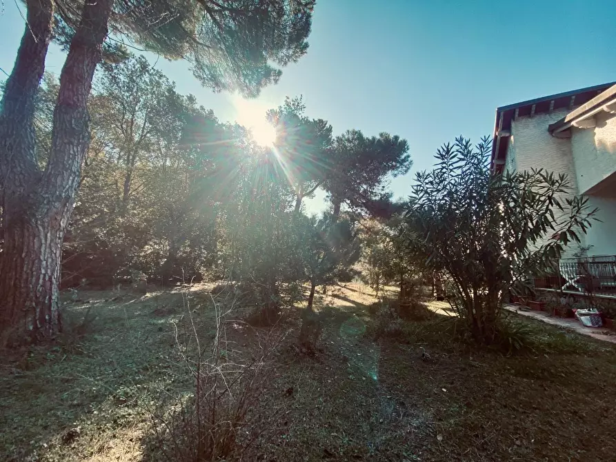 Immagine 3 di Casa indipendente in vendita  a Massa