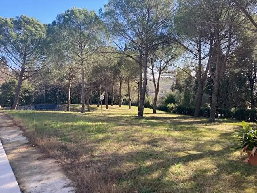 Immagine 8 di Villa in vendita  a Vinci