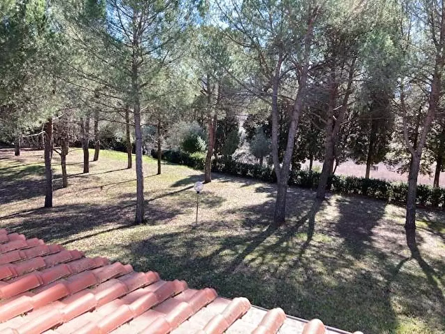 Immagine 28 di Villa in vendita  a Vinci