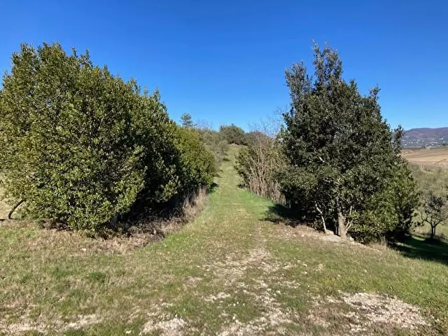 Immagine 37 di Villa in vendita  a Vinci