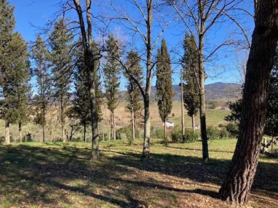 Immagine 11 di Villa in vendita  a Vinci