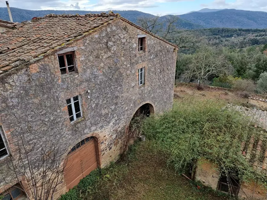 Immagine 1 di Casa colonica in vendita  a Monticiano