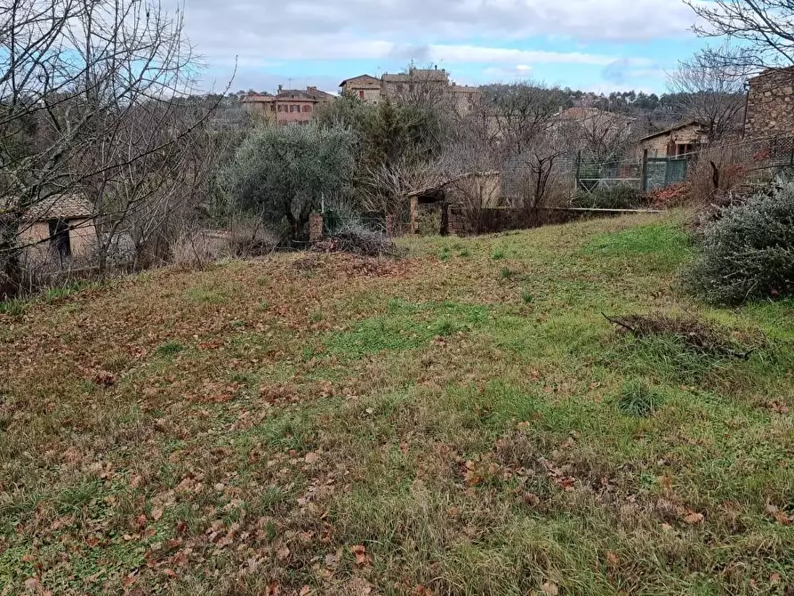 Immagine 9 di Casa colonica in vendita  a Monticiano