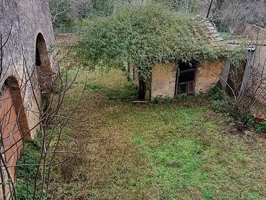 Immagine 6 di Casa colonica in vendita  a Monticiano