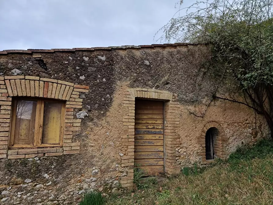 Immagine 5 di Casa colonica in vendita  a Monticiano