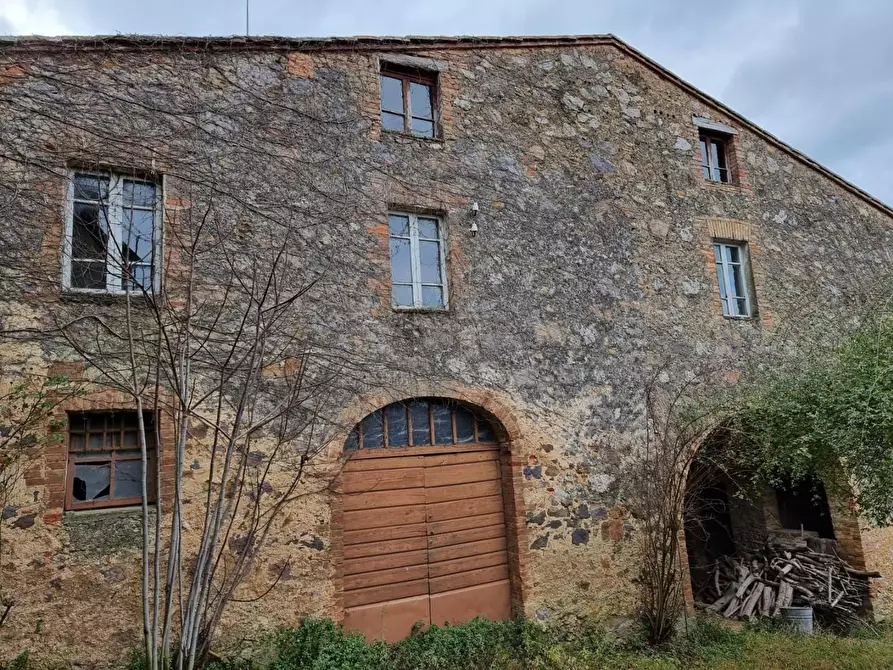 Immagine 2 di Casa colonica in vendita  a Monticiano