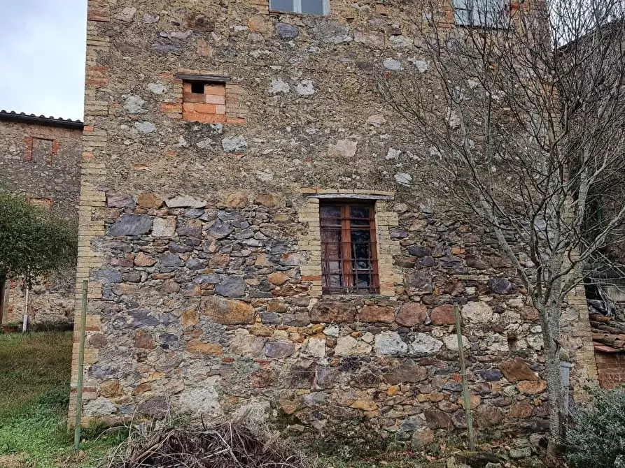Immagine 3 di Casa colonica in vendita  a Monticiano