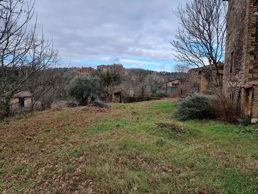Immagine 7 di Casa colonica in vendita  a Monticiano