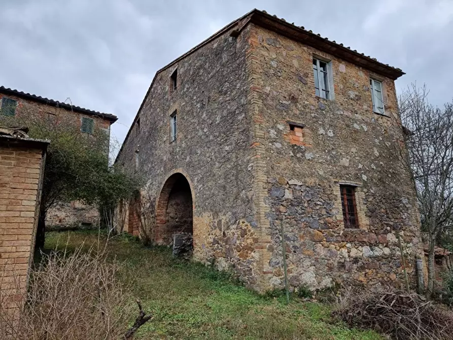 Immagine 4 di Casa colonica in vendita  a Monticiano