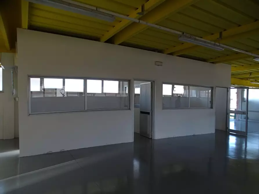 Immagine 4 di Attività artigianale in vendita  a San Miniato