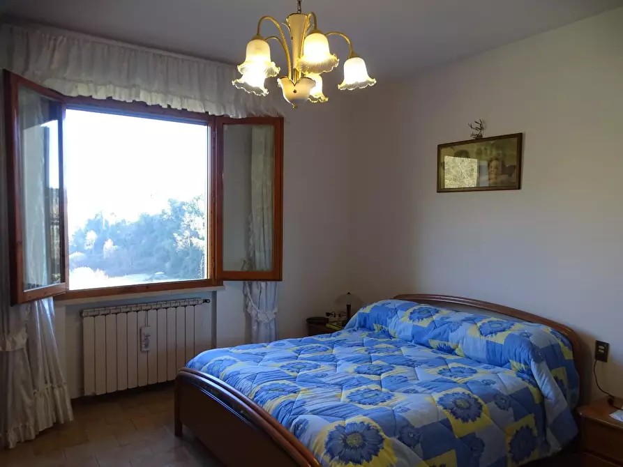 Immagine 25 di Terratetto in vendita  a San Miniato