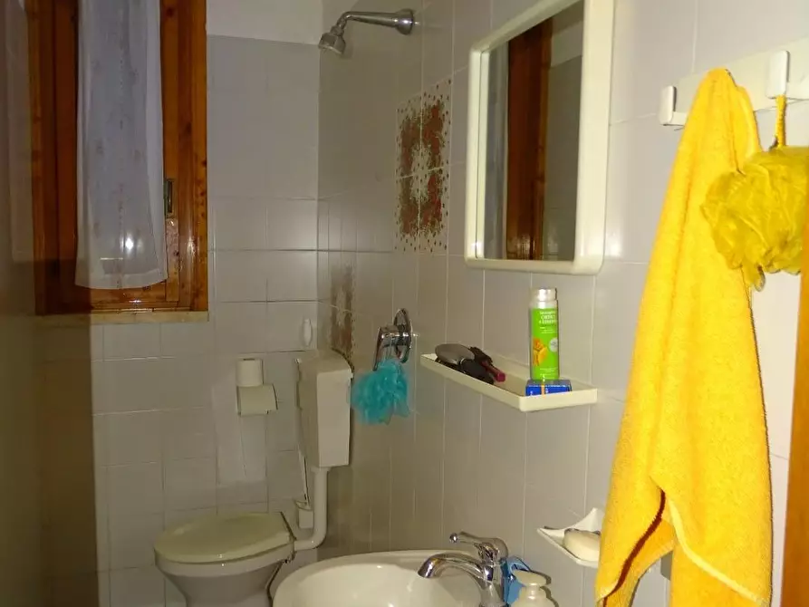 Immagine 11 di Terratetto in vendita  a San Miniato