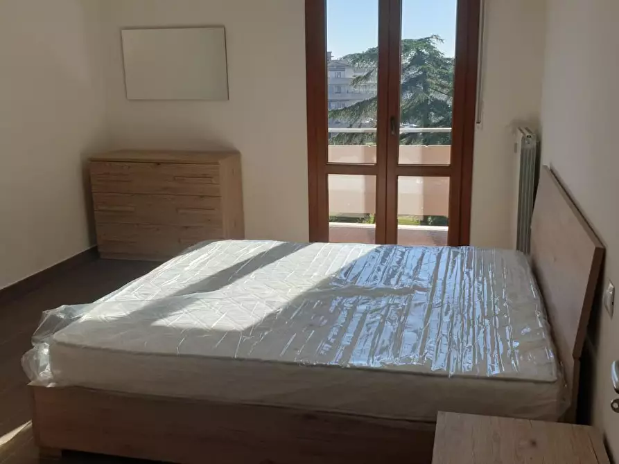 Immagine 10 di Appartamento in affitto  a Pisa