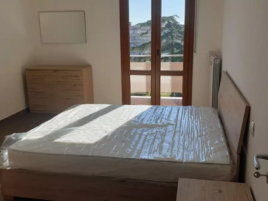 Immagine 11 di Appartamento in affitto  a Pisa