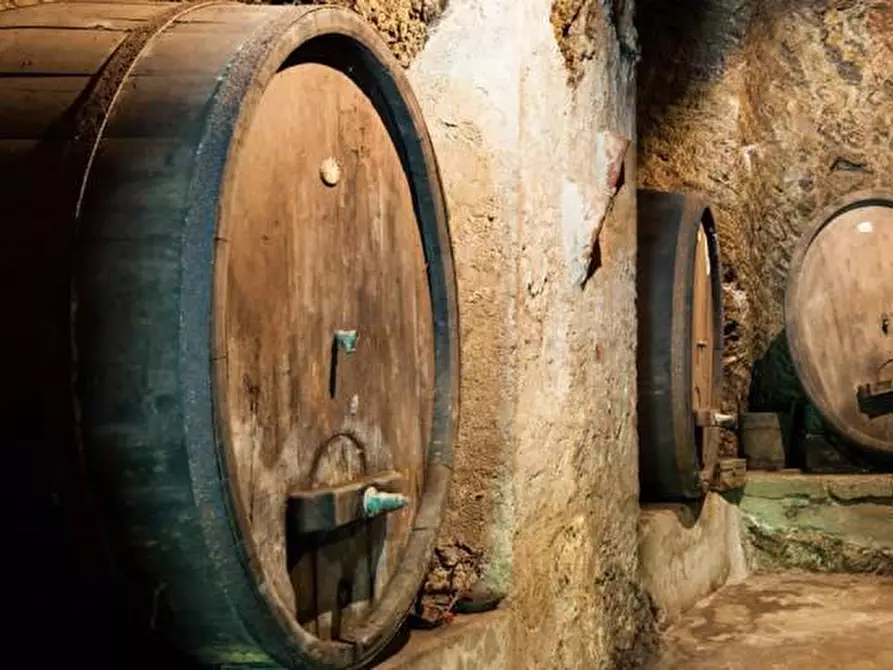 Immagine 34 di Immobile di prestigio in vendita  a Pisa