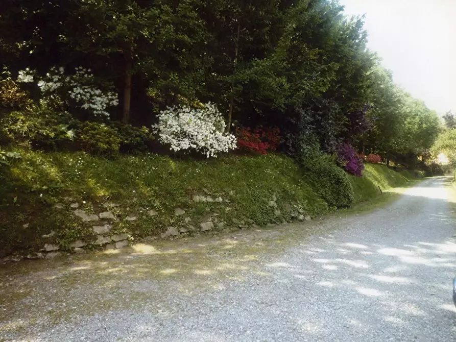 Immagine 53 di Immobile di prestigio in vendita  a Pisa