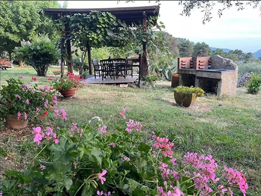 Immagine 24 di Casa colonica in vendita  a Sarzana