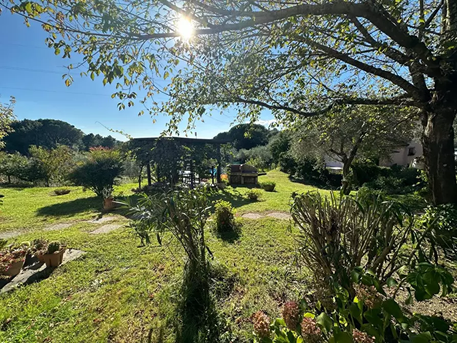 Immagine 21 di Casa colonica in vendita  a Sarzana