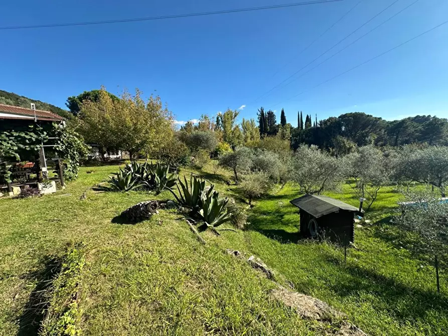 Immagine 47 di Casa colonica in vendita  a Sarzana