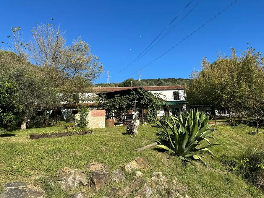 Immagine 53 di Casa colonica in vendita  a Sarzana