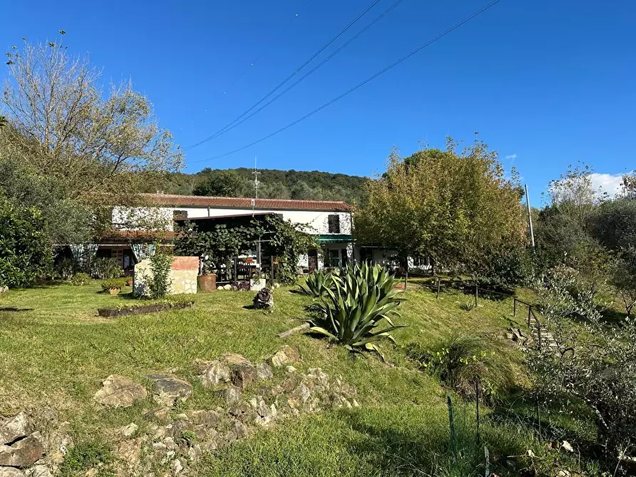 Immagine 51 di Casa colonica in vendita  a Sarzana