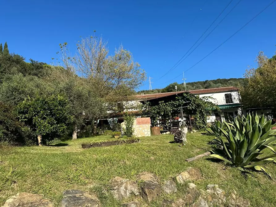 Immagine 54 di Casa colonica in vendita  a Sarzana