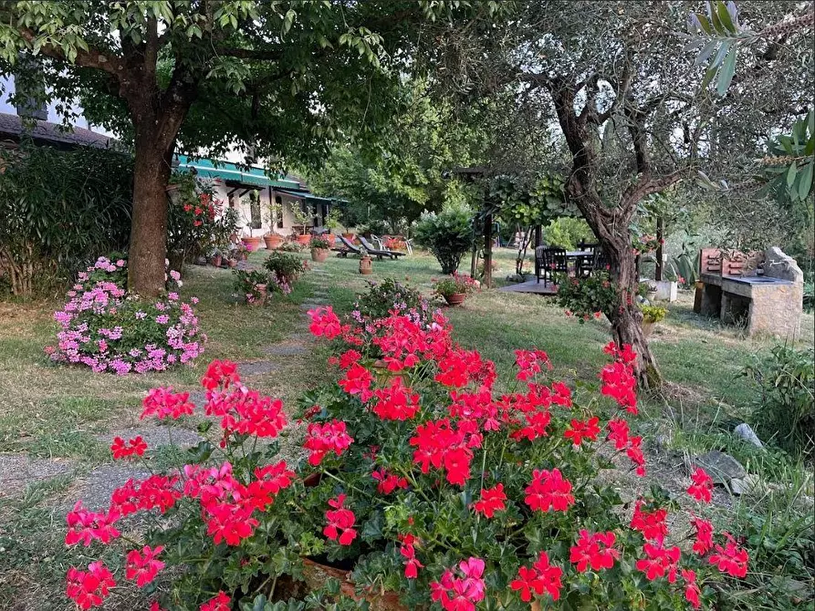 Immagine 23 di Casa colonica in vendita  a Sarzana