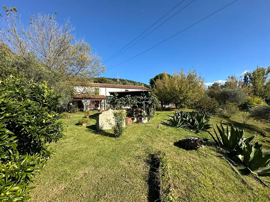 Immagine 48 di Casa colonica in vendita  a Sarzana